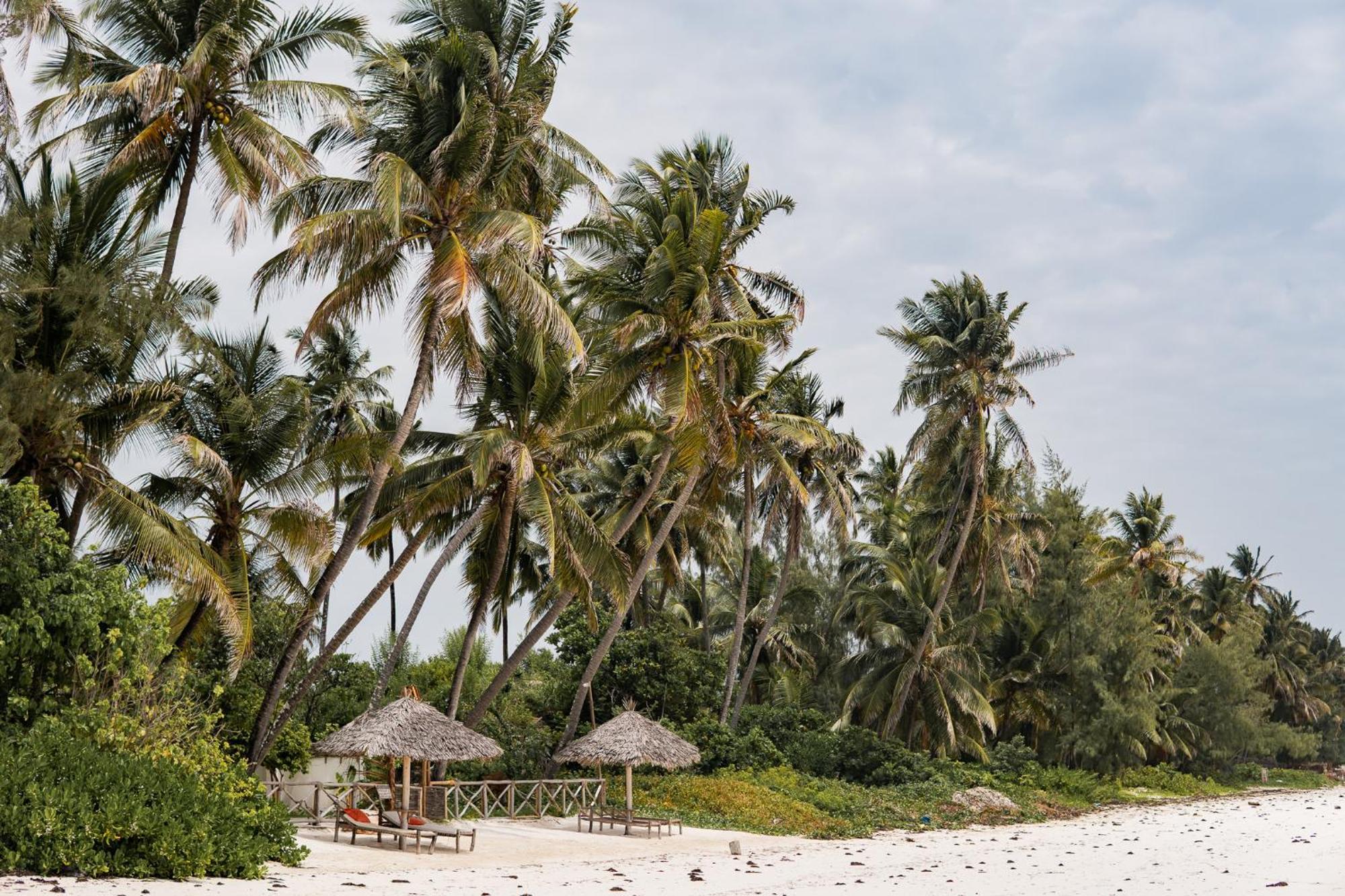 Kima Serviced Beach House & Suites Bwejuu Esterno foto